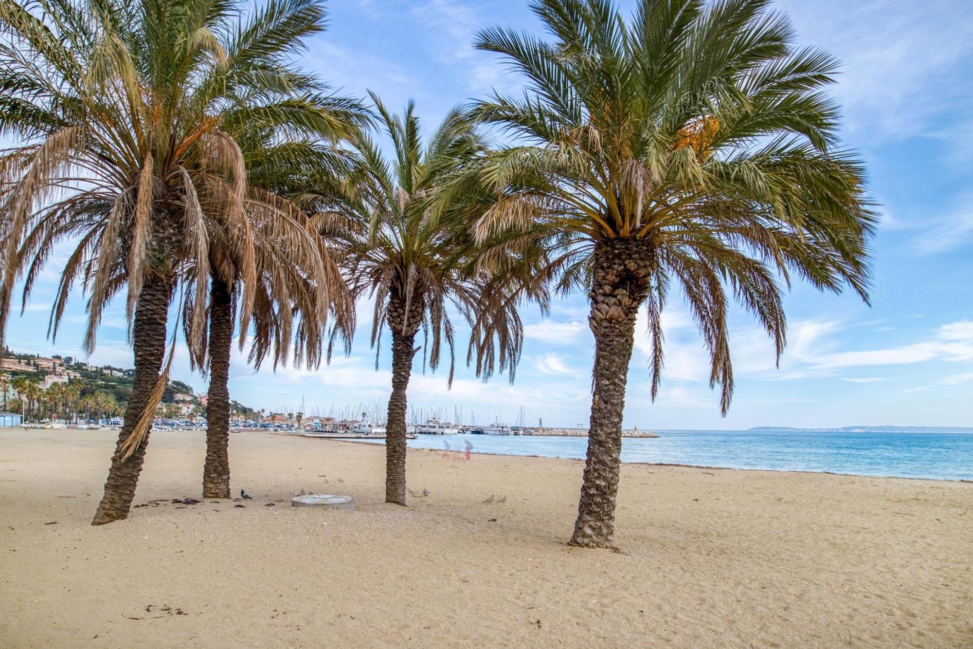Nouvelle Ere - Appt A Moins D'Un Km De La Plage Le Lavandou Εξωτερικό φωτογραφία